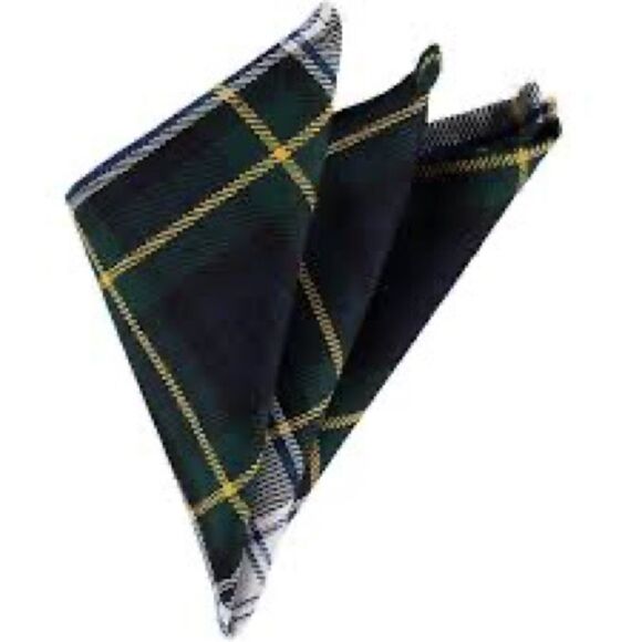 Accessories - Plaid Scarf V Shape OSFM